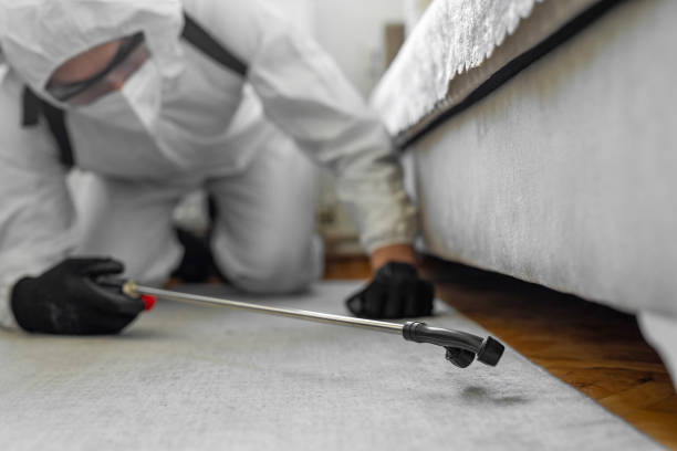 Professional Mosquito Control technician working in Baltic, SD