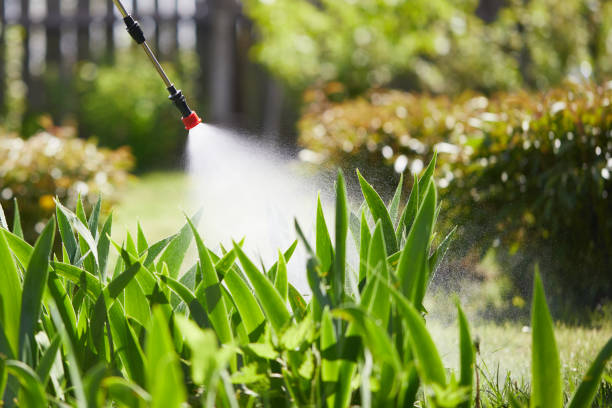 24/7 Emergency Mosquito Control experts in Baltic, SD